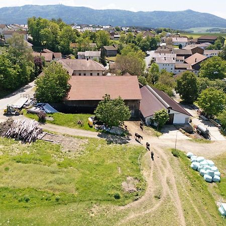 Ferienhof Schuetz Eschlkam Dış mekan fotoğraf